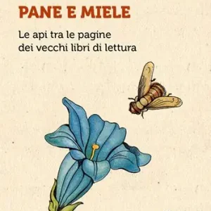 Pane e miele. Le api tra le pagine dei vecchi libri di lettura Bestseller