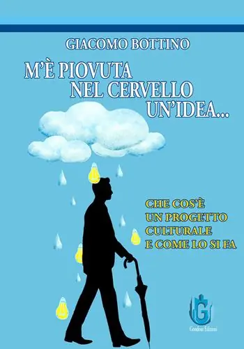 M‘è piovuta nel cervello un‘idea. Che cos’è un progetto culturale e come lo si fa. Ediz. illustrata Vendita Finale
