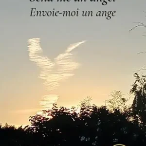 Ultimissimo Modello Send me an angel envoie-moi un ange