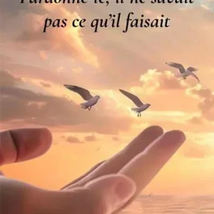 Pardonne-le, il ne savait pas ce qu‘il faisait Ultime Pezzi