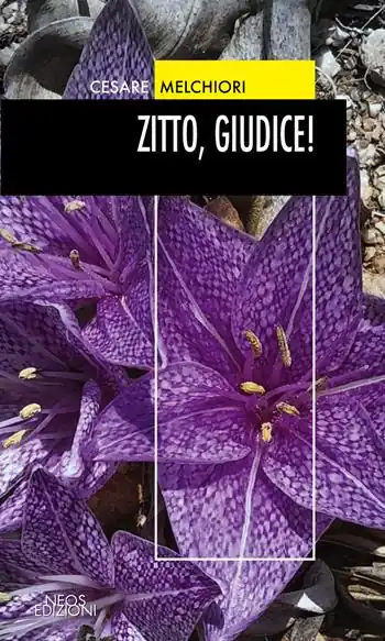Compra Oggi Stesso Zitto, giudice!