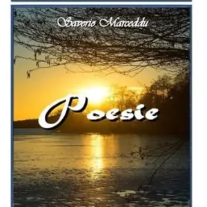 Poesie Affare