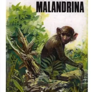 Prezzo Basso La bertuccia malandrina