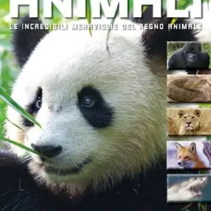 La grande enciclopedia illustrata degli animali. Le incredibili meraviglie del regno animale. Libri per sapere Nuovo Arrivo