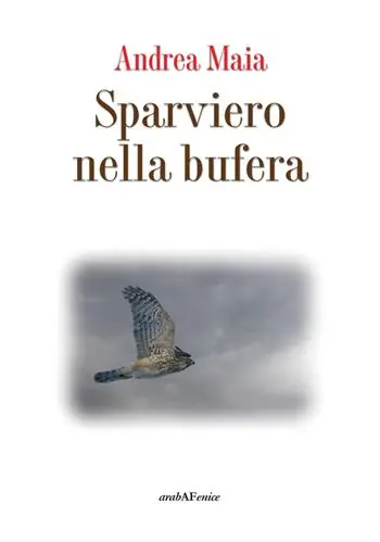 Di Tendenza Sparviero nella bufera