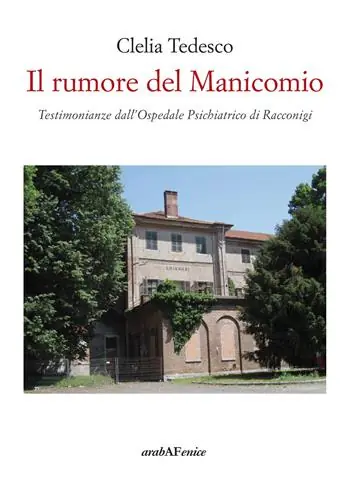 A Buon Prezzo Il rumore del manicomio. Testimonianze dall‘ospedale psichiatrico di Racconigi