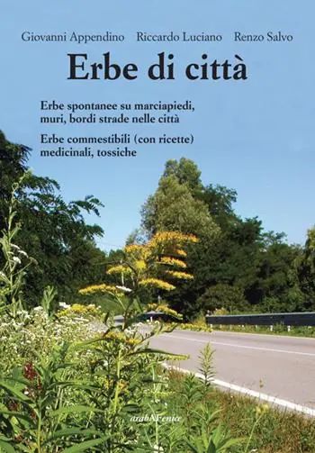 Erbe di città. Erbe spontanee su marciapiedi, muri e bordo strade. Commestibili (con ricette), medicinali, tossiche Promozione