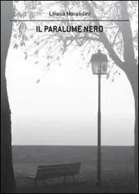 Il paralume nero Ultime Pezzi