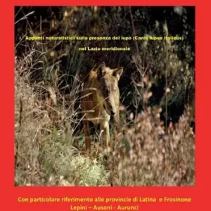 Ultime Pezzi Appunti naturalistici sulla presenza del lupo (Canis lupus italicus) nel Lazio meridionale
