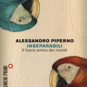 Bestseller Inseparabili. Il fuoco amico dei ricordi