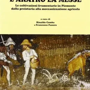 Il seme l‘aratro la messe Solo Oggi