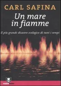 Un mare in fiamme. Il più grande disastro ecologico di tutti i tempi Offerta Lampo