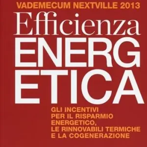 Non Perdere Efficienza energetica. Gli incentivi per il risparmio energetico, le rinnovabili termiche e la cogenerazione. Vademecum Nextville 2013