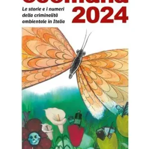 Ecomafia 2024. Le storie e i numeri della criminalità ambientale in Italia Economico