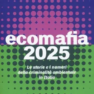 Spedizione Espresso Ecomafia 2025. Le storie e i numeri della criminalità ambientale in Italia