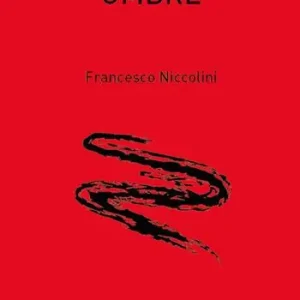 Consegna Rapida Ombre