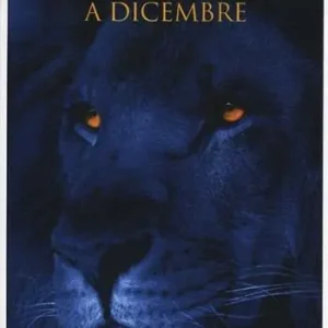 Offerta Lampo Tre settimane a dicembre