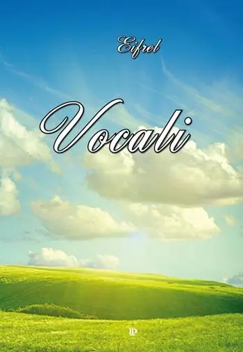 Vocali Soddisfatti O Rimborsati